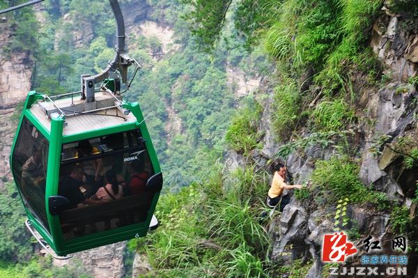 張家界景區保潔員撿垃圾由北京保潔公司整理